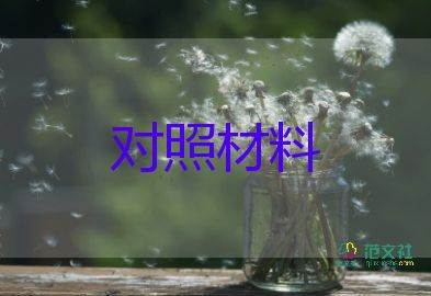 村黨支部生活會(huì)對(duì)照材料7篇