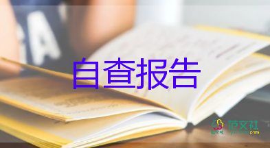 2023年支部副書記述職報(bào)告5篇