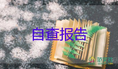 財務人員自查報告范文6篇