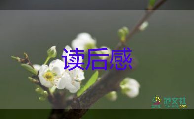 小頭爸爸大頭兒子的讀后感7篇