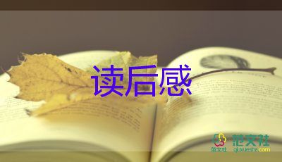 小襪子皮皮讀后感5篇