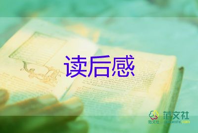 關(guān)于追風(fēng)箏的人讀后感優(yōu)秀范文4篇