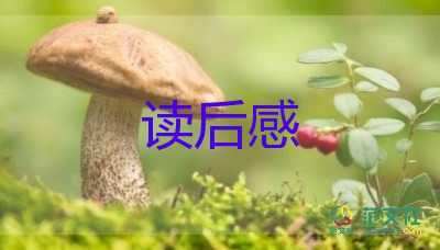 四大名著的讀后感精選7篇