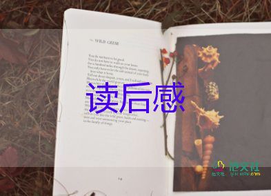 長(zhǎng)篇小說(shuō)追風(fēng)箏的人讀后感優(yōu)秀范文3篇