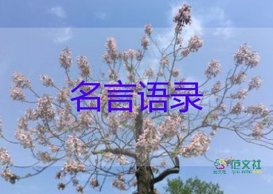 感動(dòng)！“義墩墩”含淚告別冰墩墩