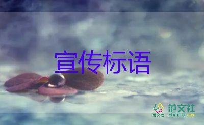 宜家上海楊浦店將于7月將關(guān)閉，商場(chǎng)服務(wù)心得體會(huì)3篇