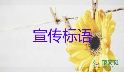 反腐大片收官省會(huì)老虎一家兩制