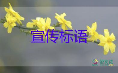 藏在細(xì)節(jié)里的6.18的冷清暗戰(zhàn)，消費(fèi)的心得體會(huì)3篇