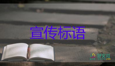 關(guān)于網(wǎng)絡(luò)文明宣傳語(yǔ)經(jīng)典60句