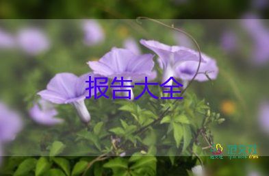 會計社會實踐調(diào)查報告范文3000字6篇