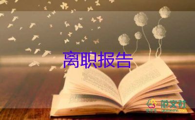 經(jīng)融公司辭職報(bào)告8篇