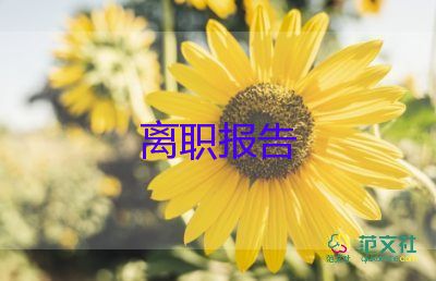 通用關(guān)于房地產(chǎn)銷售辭職報(bào)告參考范文6篇