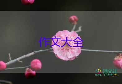 后面的小作文模板8篇