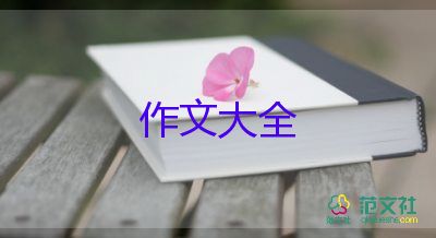 期中考試前的感想400字作文5篇